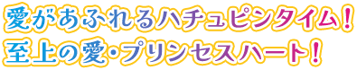 愛があふれるハチュピンタイム！至上の愛・プリンセスハート！