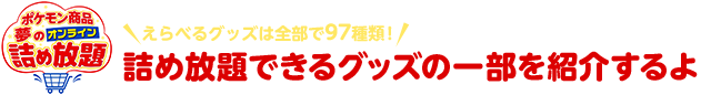 ポケモン商品夢のオンライン詰め放題 えらべるグッズは全部で97種類! 詰め放題できるグッズの一部を紹介するよ