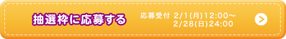 抽選枠に応募する　応募受付　2月1日(月)12:00～2月28日(日)24:00